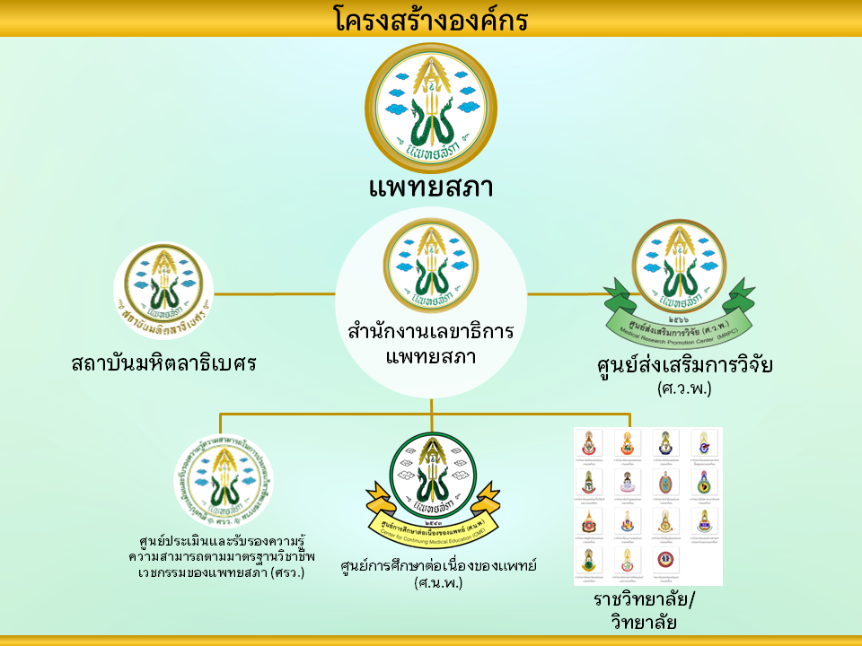 Organization Chart